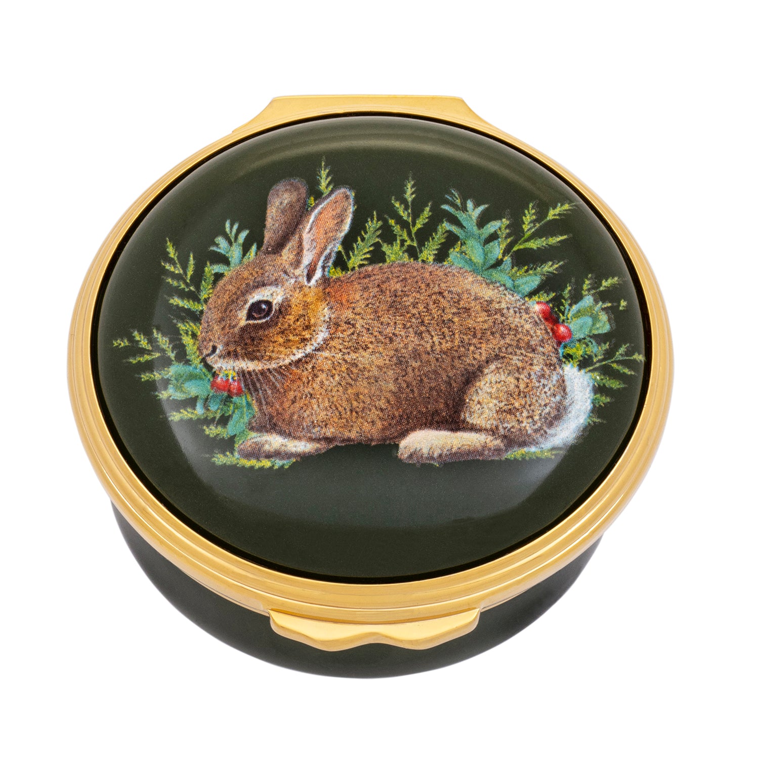 Woodland Wildlife Rabbit Enamel Box – HALCYON DAYS