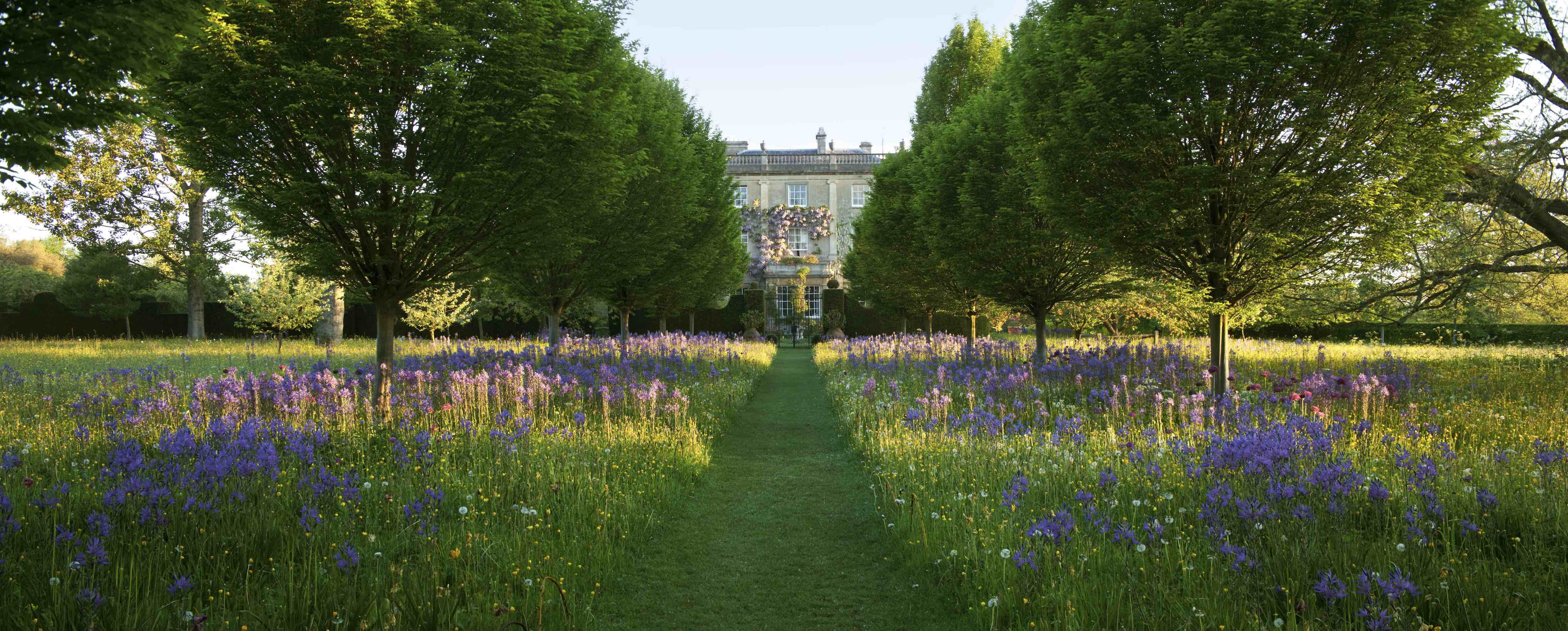 Halcyon Days & Highgrove: Cultivating the Perfect Partnership